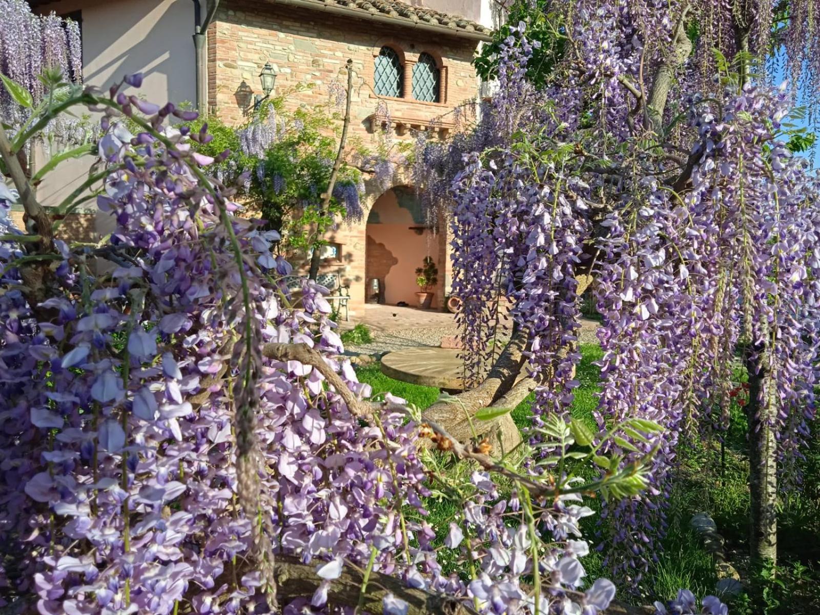 Apartamento Nido Di Rondine Montespertoli Exterior foto